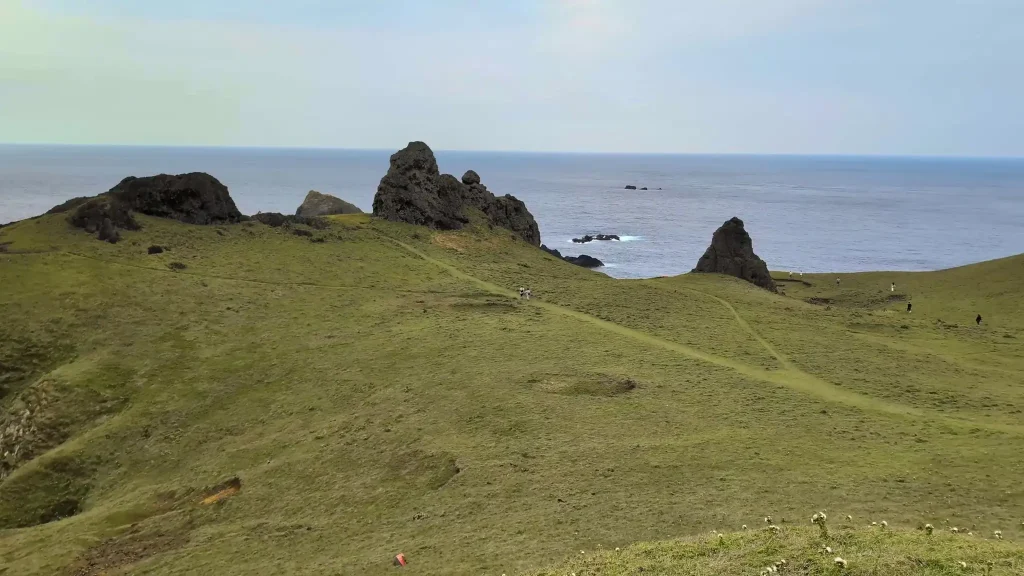 View of Green Island’s grassy coastline with the ocean in the background