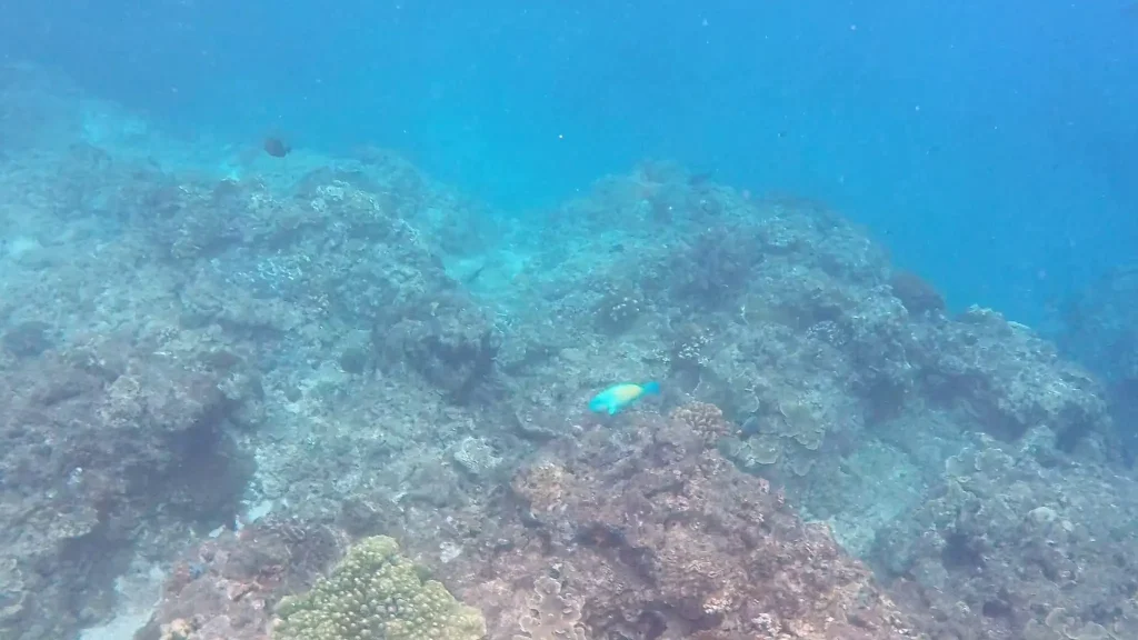 Scuba Diver exploring the clear coastal waters of Green Island, Taiwan
