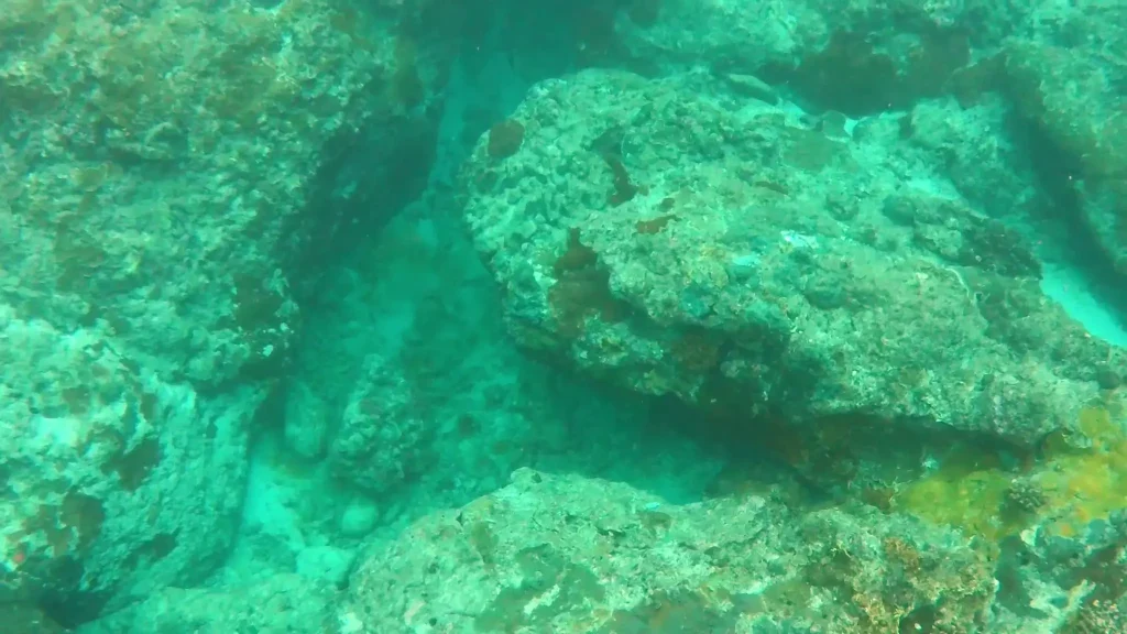 Diving on Green Island, Taiwan, ideal for scuba diving, freediving, and snorkeling