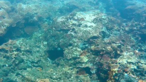 Underwater view of scuba diving on Green Island, Taiwan